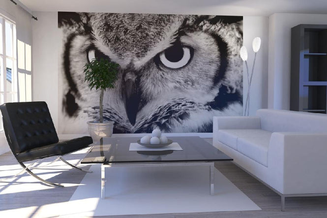 PHOTOWALL / Great Horned Owl (e1451)