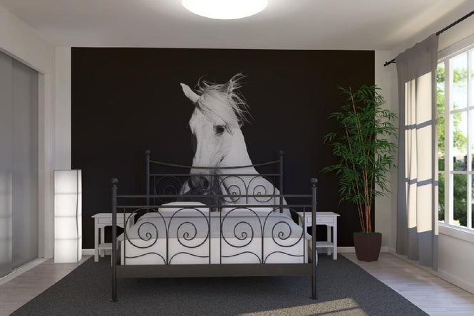 PHOTOWALL / High Contrast Horse (e1482)