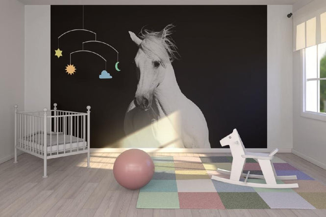 PHOTOWALL / High Contrast Horse (e1482)