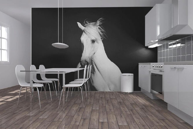 PHOTOWALL / High Contrast Horse (e1482)