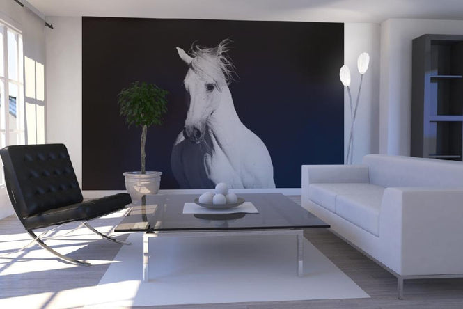 PHOTOWALL / High Contrast Horse (e1482)