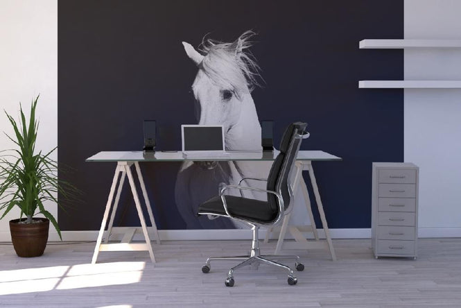 PHOTOWALL / High Contrast Horse (e1482)