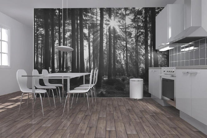 PHOTOWALL / Sunbeam through Trees (e1611)