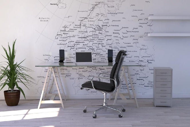 PHOTOWALL / Europe Map (e1771)
