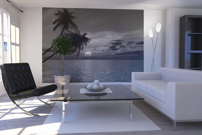 PHOTOWALL / Coconut Palm Sun (e1902)