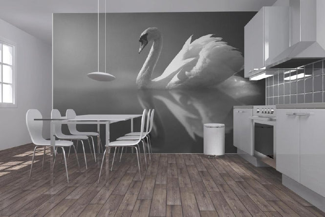 PHOTOWALL / Swan Reflection (e1906)