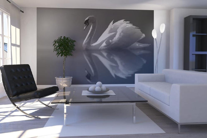 PHOTOWALL / Swan Reflection (e1906)