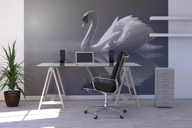 PHOTOWALL / Swan Reflection (e1906)