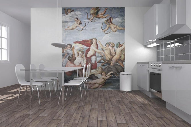 PHOTOWALL / Triumph of Galatea - Raphael (e2097)