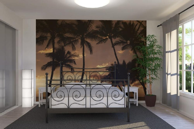 PHOTOWALL / Hawaii Sunset (e6203)