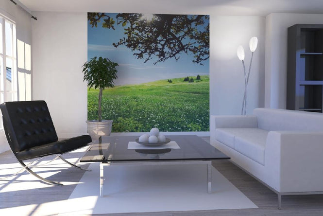 PHOTOWALL / Green Meadow (e19377)