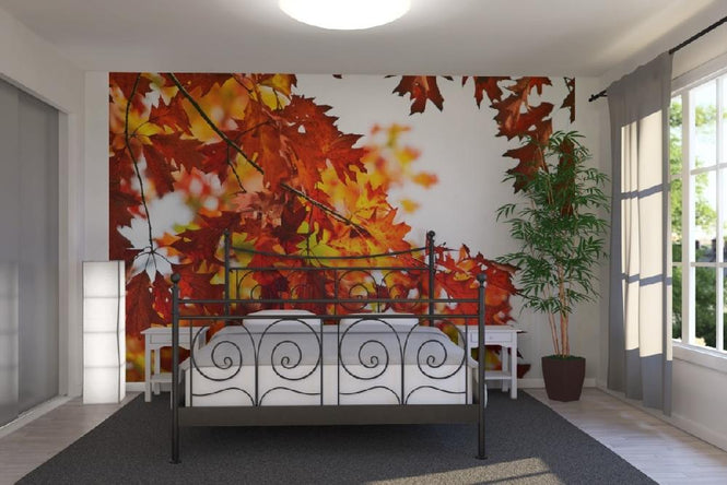 PHOTOWALL / Red and Yellow Leaves (e19357)
