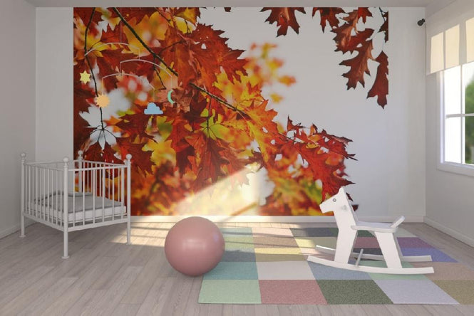 PHOTOWALL / Red and Yellow Leaves (e19357)
