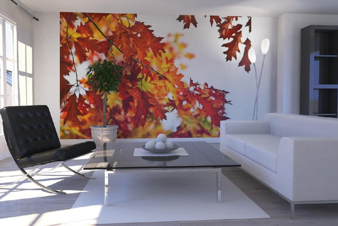 PHOTOWALL / Red and Yellow Leaves (e19357)