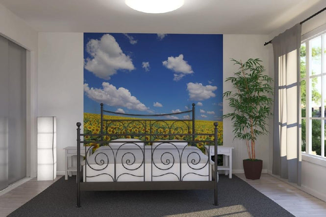 PHOTOWALL / Sunflower Field (e19334)