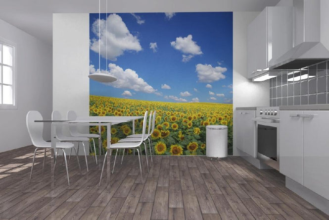 PHOTOWALL / Sunflower Field (e19334)
