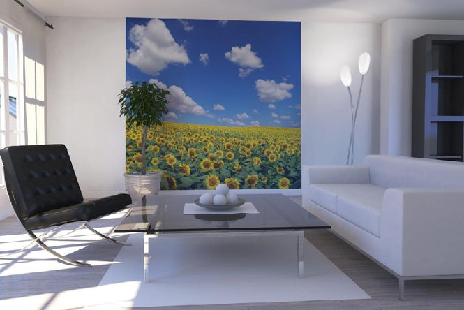PHOTOWALL / Sunflower Field (e19334)