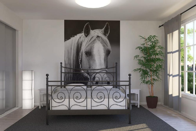 PHOTOWALL / Horse (e19476)