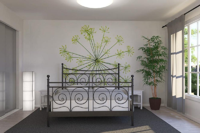 PHOTOWALL / Dill (e19455)