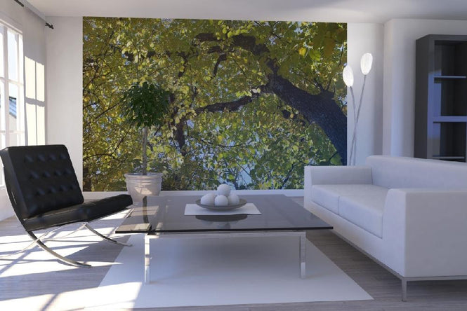 PHOTOWALL / Tree Branches (e19438)