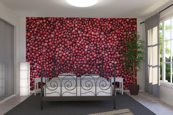 PHOTOWALL / Lingonberries (e19434)