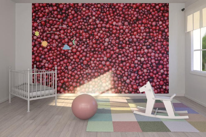 PHOTOWALL / Lingonberries (e19434)