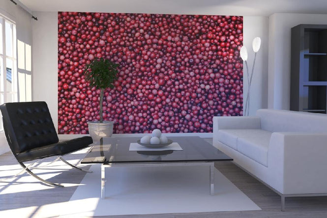 PHOTOWALL / Lingonberries (e19434)