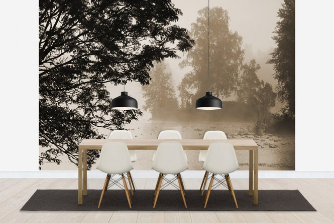 PHOTOWALL / Morning Mist (e19432)