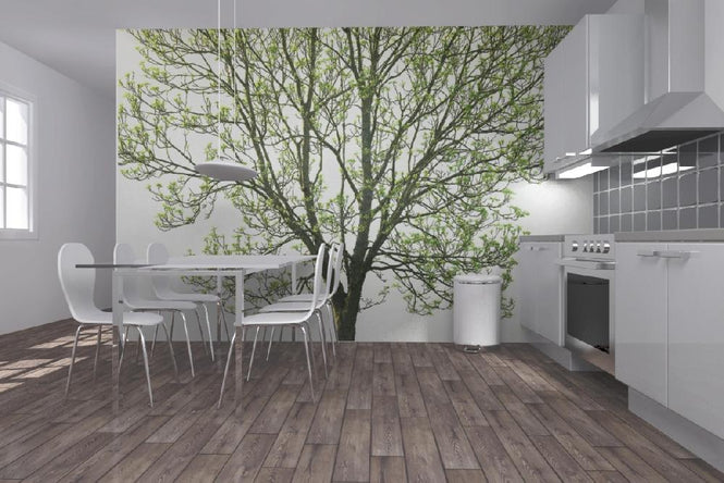 PHOTOWALL / Tree Branches 2 (e19420)