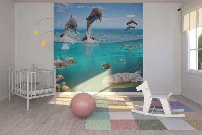 PHOTOWALL / Sea Life (e19857)
