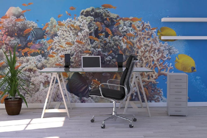 PHOTOWALL / Coral Reef Scene - Panorama (e19873)