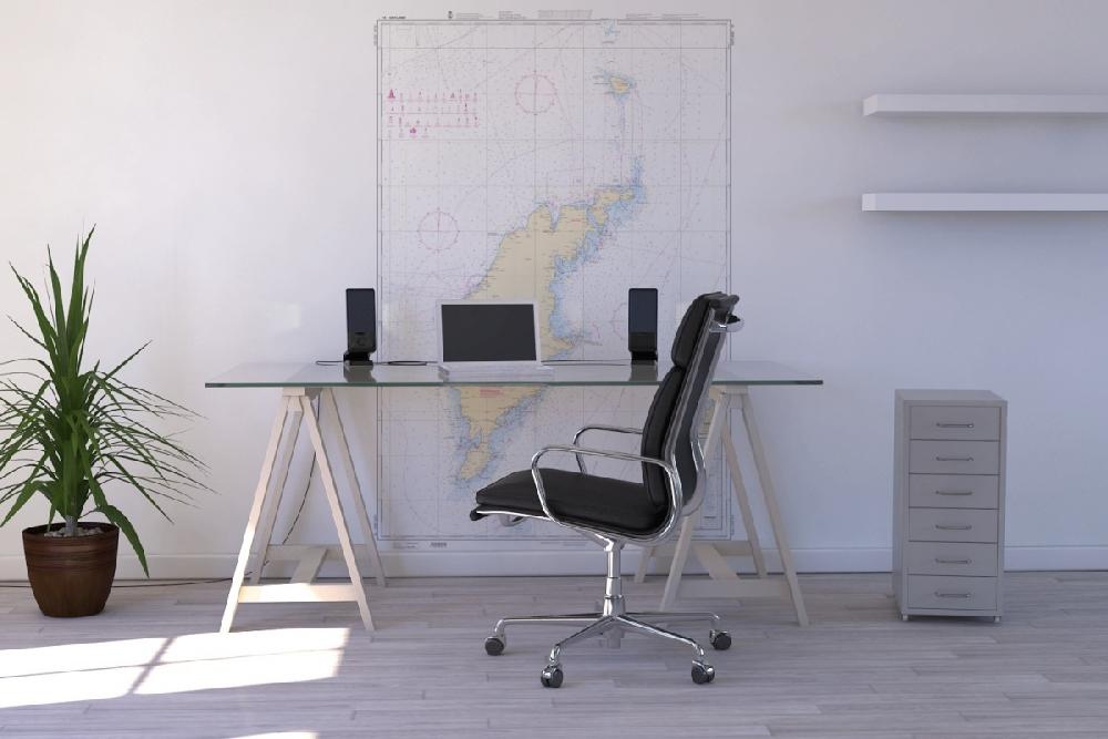 Zoom