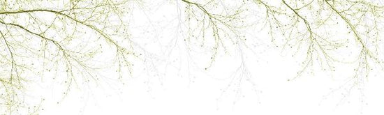 PHOTOWALL / Black Beech - Green (e20235)