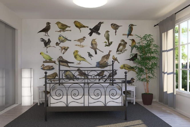PHOTOWALL / Birds (e20328)