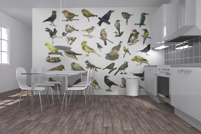PHOTOWALL / Birds (e20328)