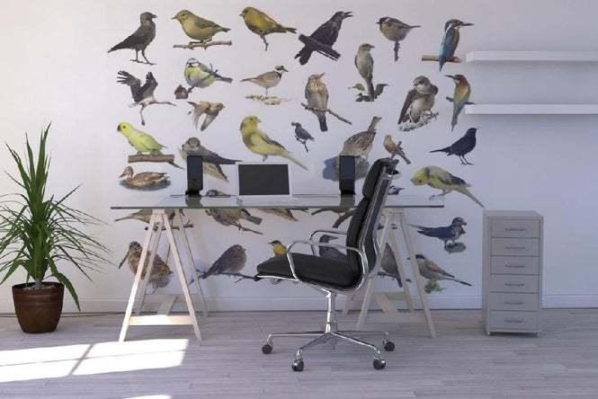 PHOTOWALL / Birds (e20328)