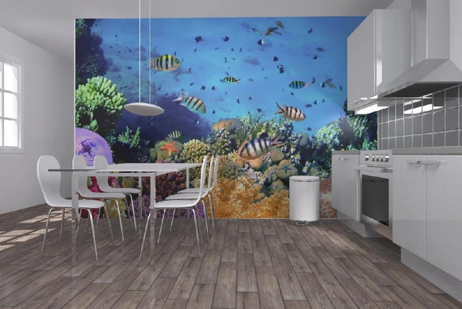 PHOTOWALL / Coral Reef at Koh Cahg Island (e20416)