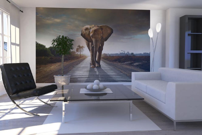 PHOTOWALL / Elephant Road (e20978)