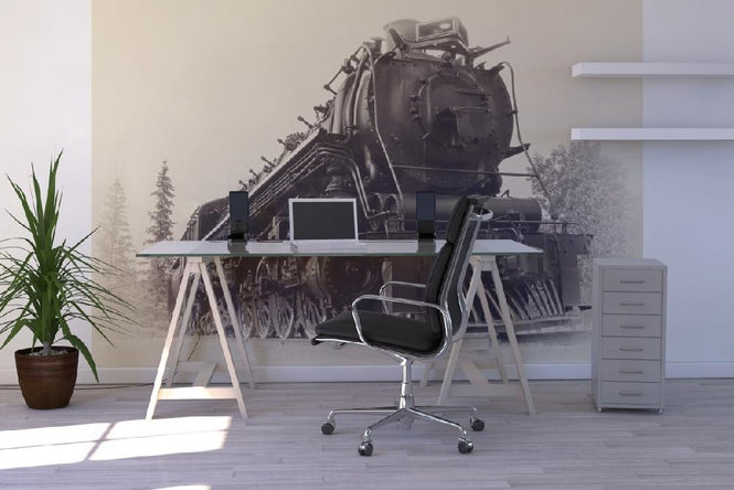 PHOTOWALL / Steam Locomotive (e21124)