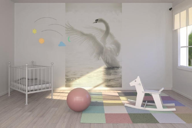 PHOTOWALL / Graceful Swan (e21139)
