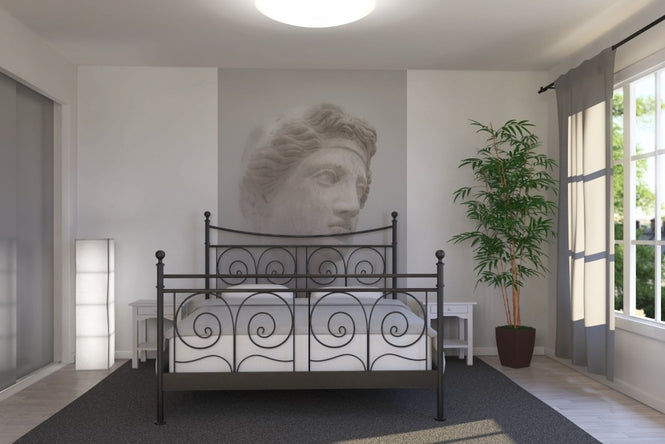 PHOTOWALL / Greek Female Bust (e21140)