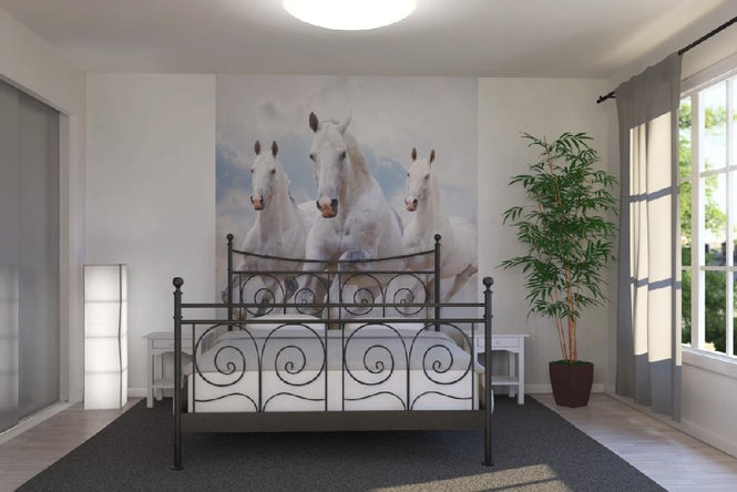 PHOTOWALL / Sky Horses (e21346)