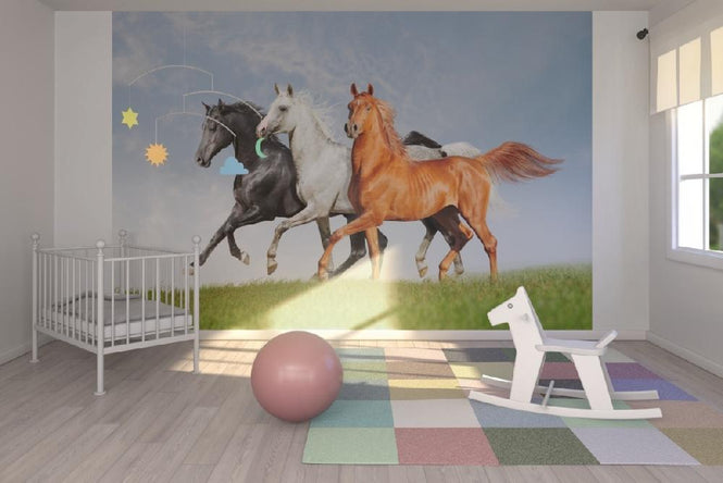 PHOTOWALL / Arab Horses Runs Free (e21344)