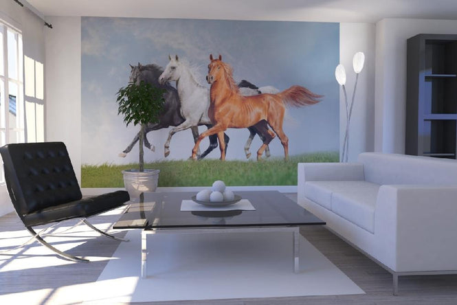PHOTOWALL / Arab Horses Runs Free (e21344)