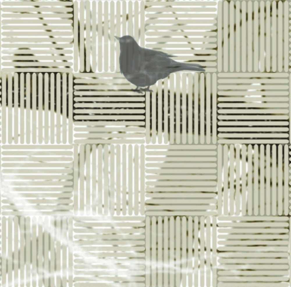 Zoom