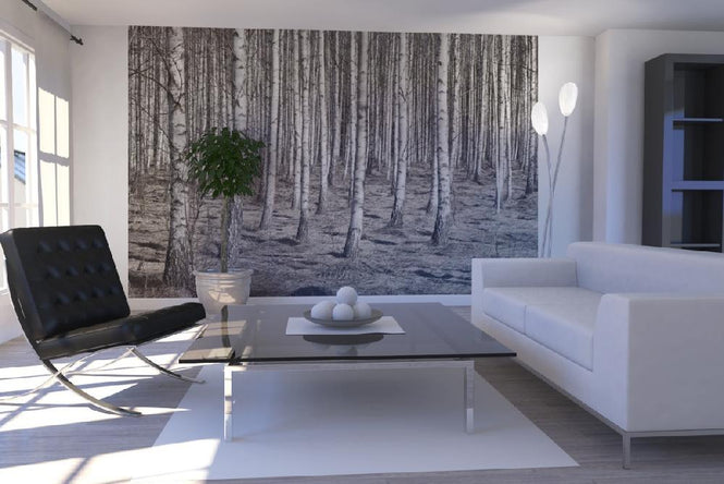 PHOTOWALL / Birch Forest (e22029)