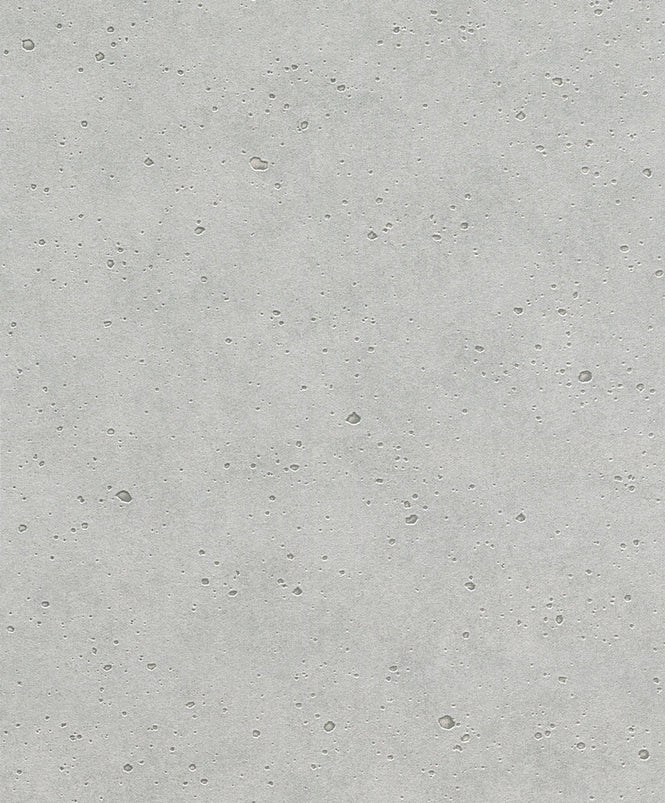 【限定数】【切売m単位】rasch(ラッシュ) / 475210 (Factory III)