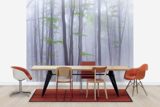 PHOTOWALL / Misty Woods (e22390)