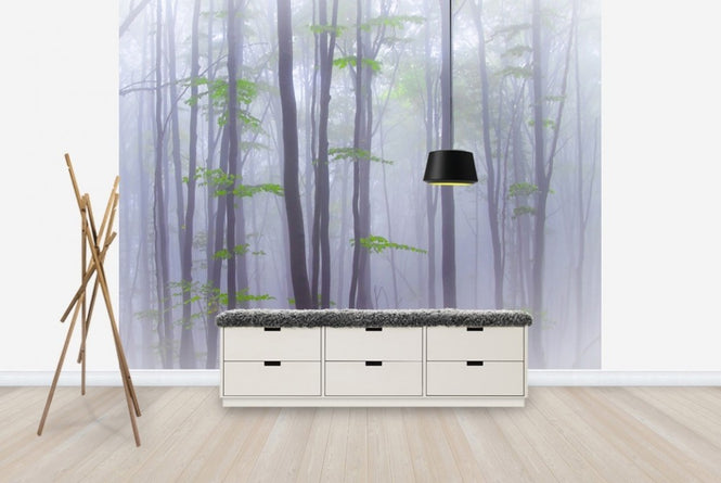 PHOTOWALL / Misty Woods (e22390)
