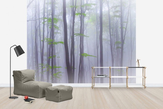 PHOTOWALL / Misty Woods (e22390)